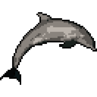 dolphin